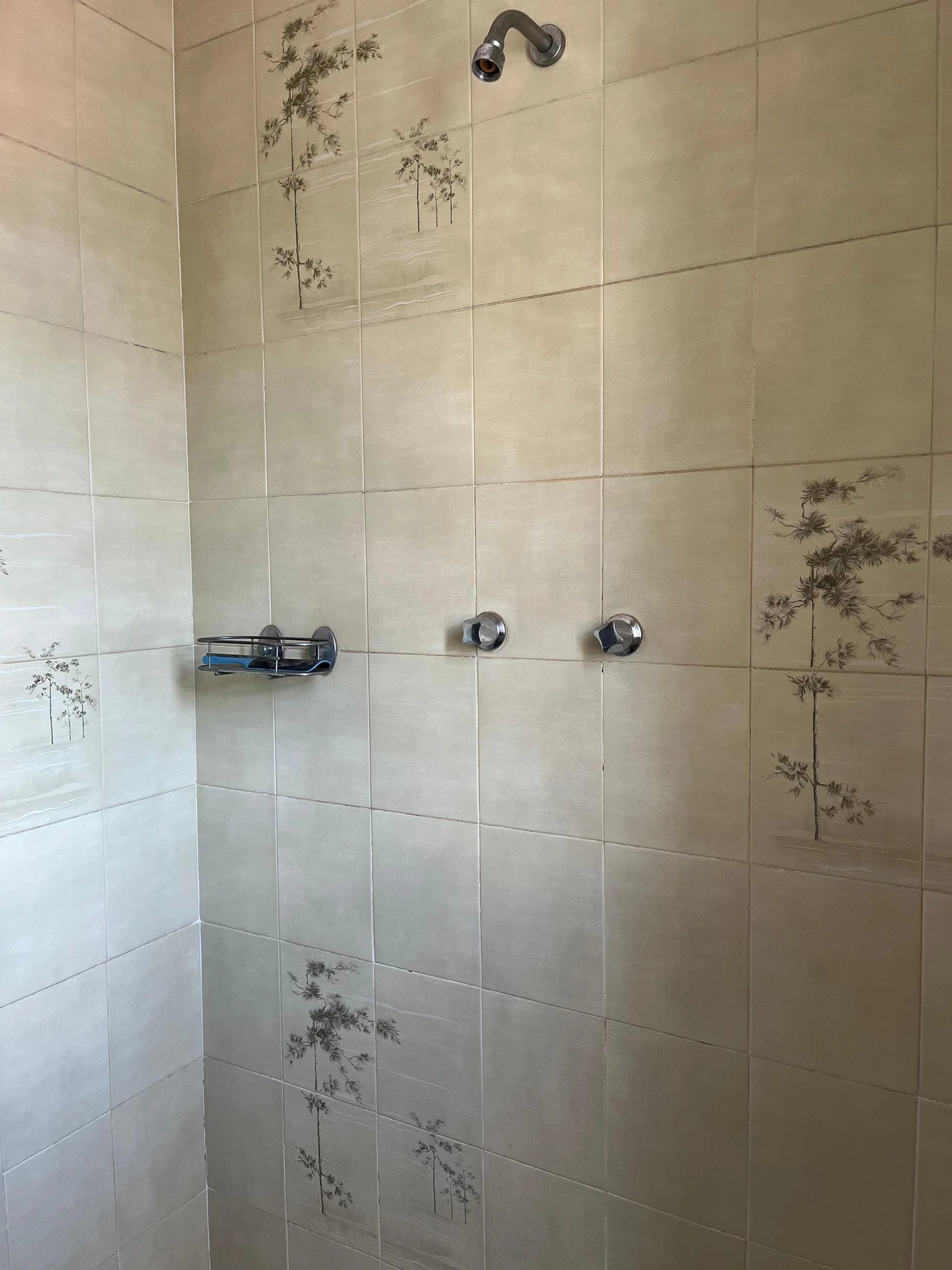 Casa sem mobília com 4 suítes e 7 banheiros — photo 28