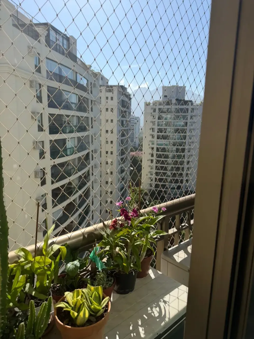 Apartamento de 4 quartos com cozinha americana e 231 m² — photo 8