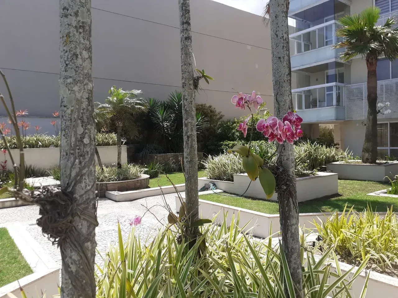 Apartamento mobiliado no 5º andar com varanda fechada — photo 4