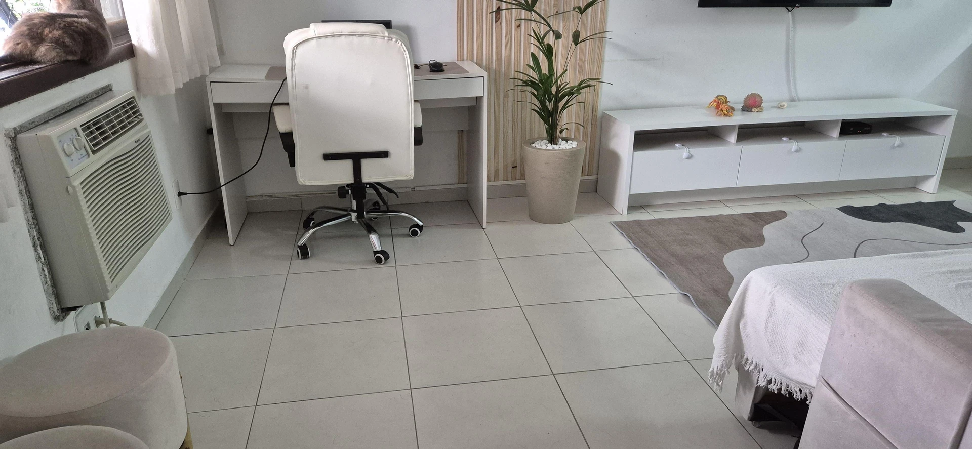 30 m² studio with a washing machine and a home office — photo 6