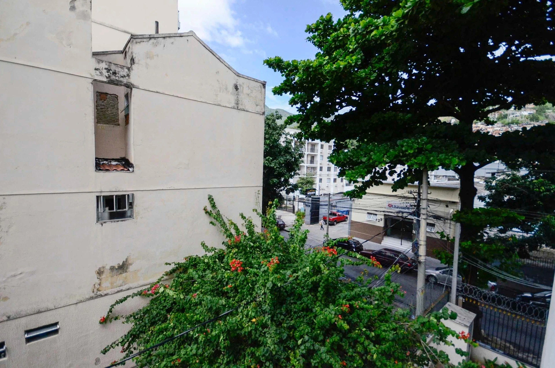 Apartamento para locação com 3 quartos e 1 vaga — photo 4