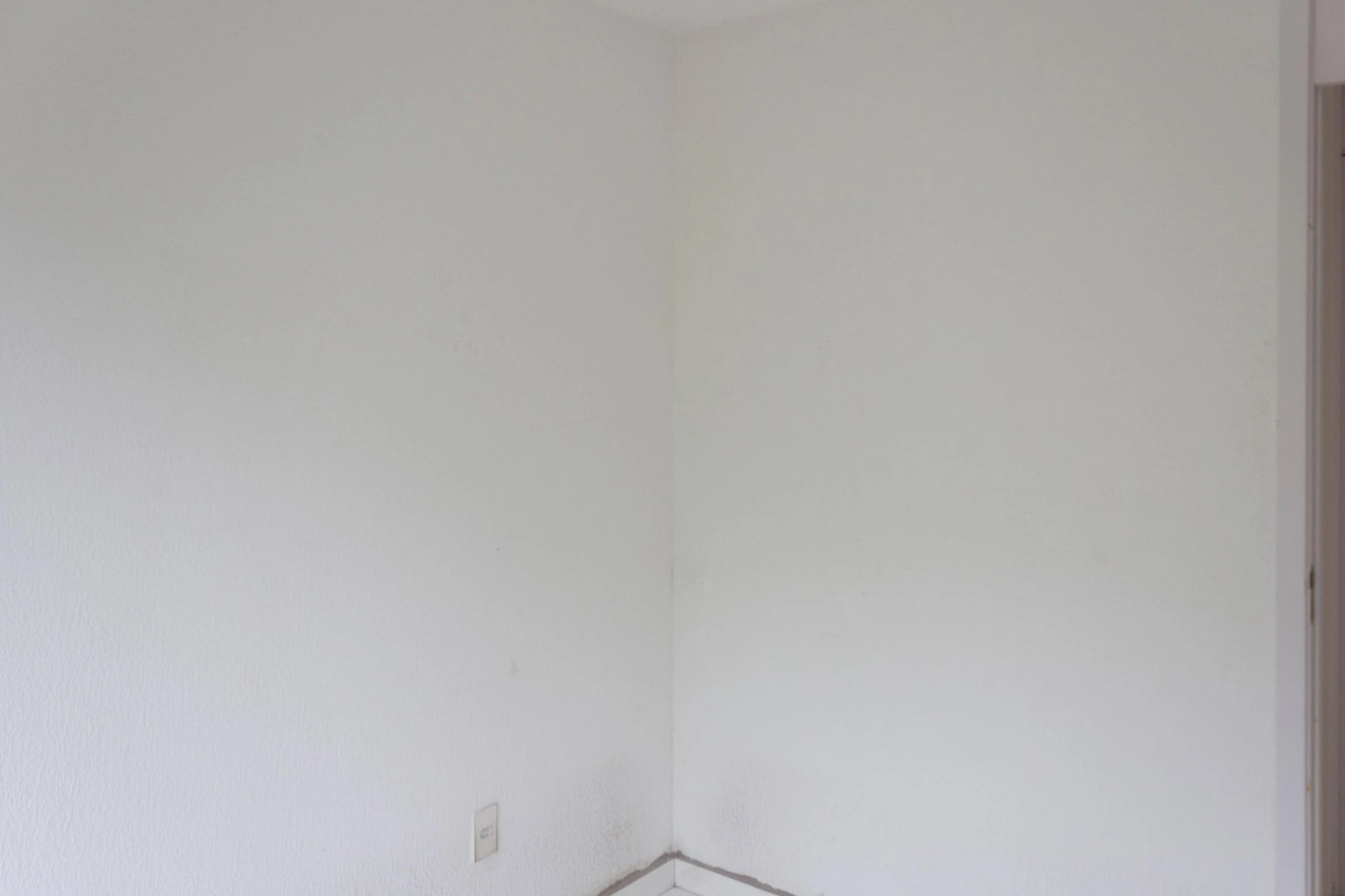 2-bedroom apartment with a park view — photo 32