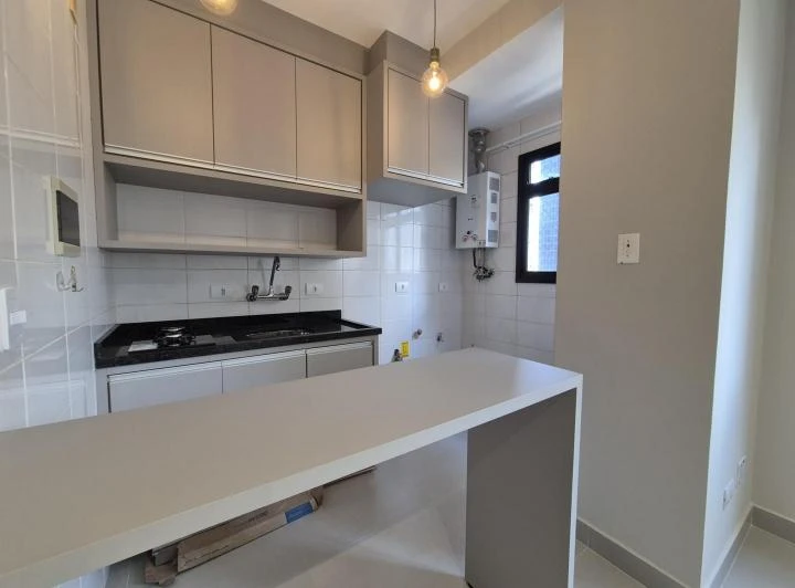 1-bedroom apartment with open-plan kitchen — photo 4