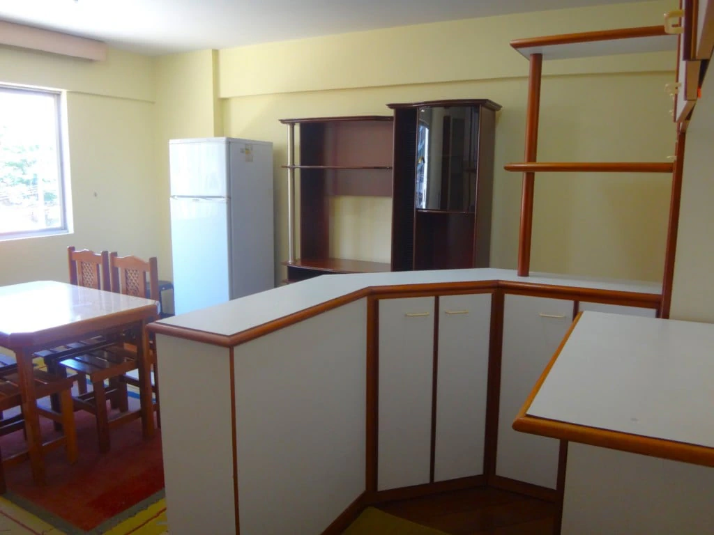 Furnished one-bedroom, 66 m² apartment in Curitiba — photo 11