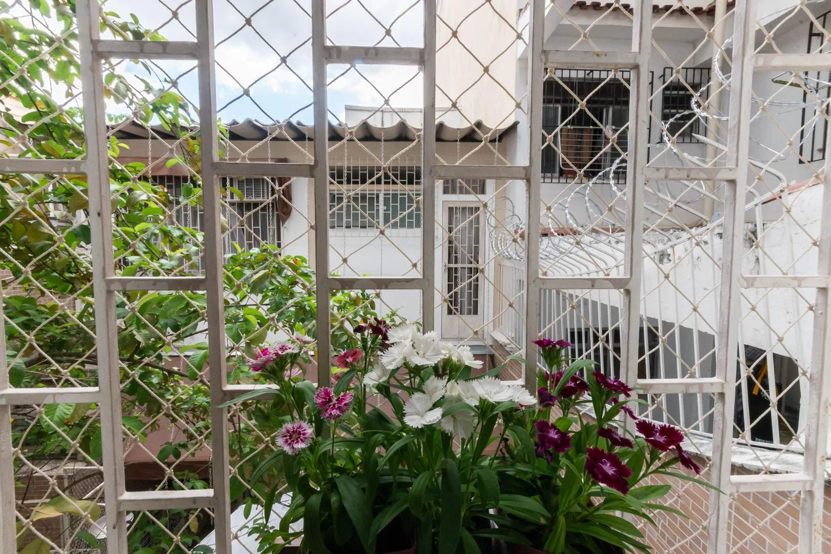 Студия 22 м² с рабочим местом и стиральной машиной — photo 21