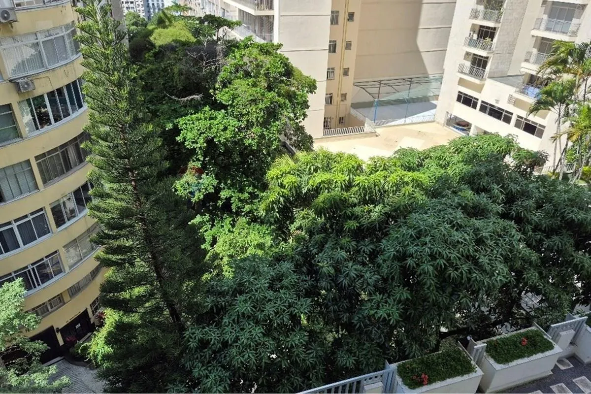 3-bedroom apartment with a mountain view in Rio de Janeiro — photo 50