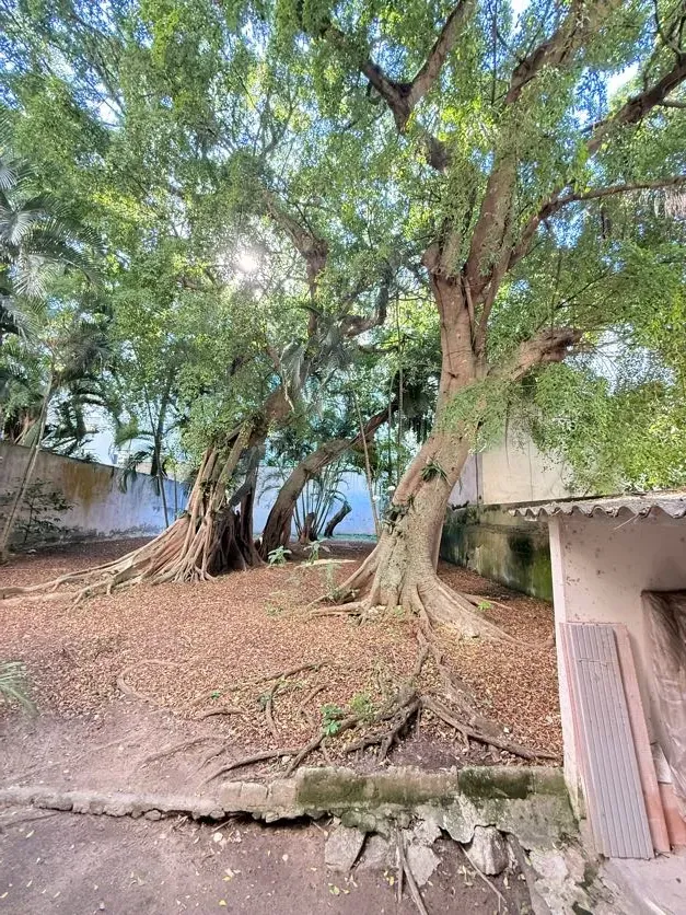 Apartamento sem mobília com 3 quartos e 3 banheiros — photo 38