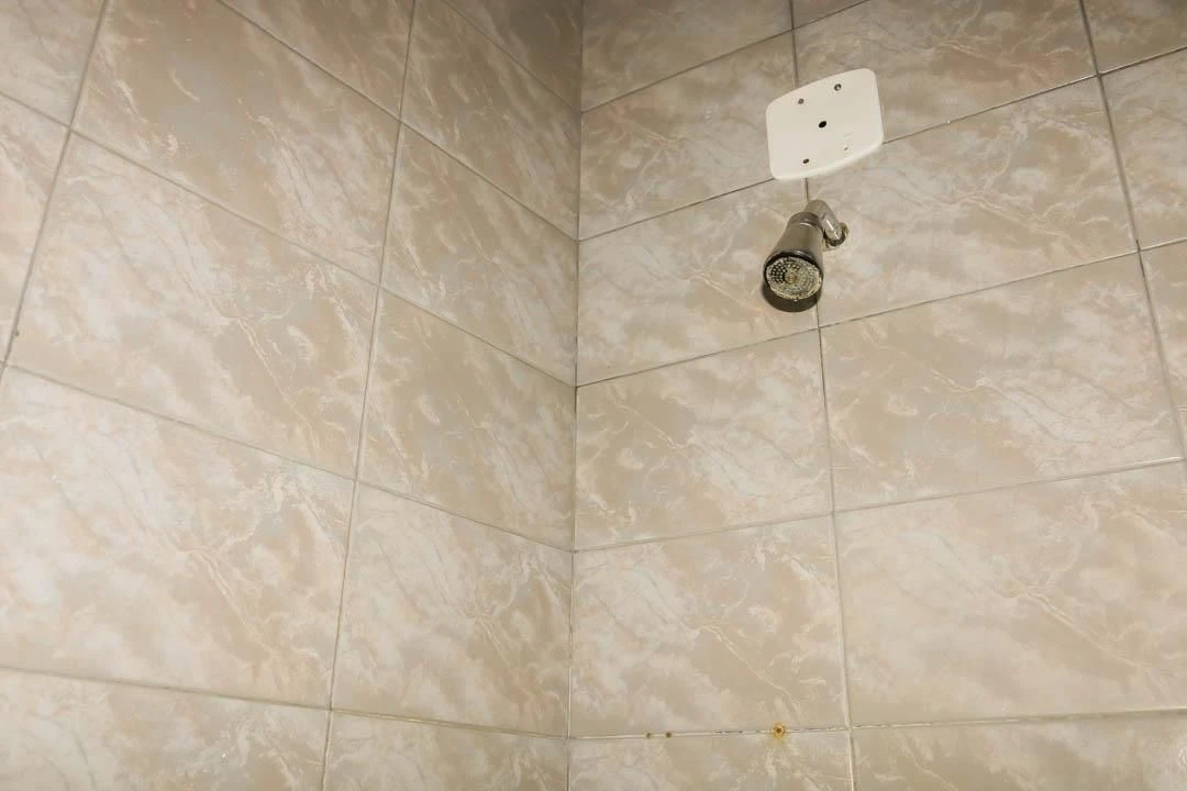 Apartamento de 2 dormitorios y 1 baño con cocina cerrada — photo 14