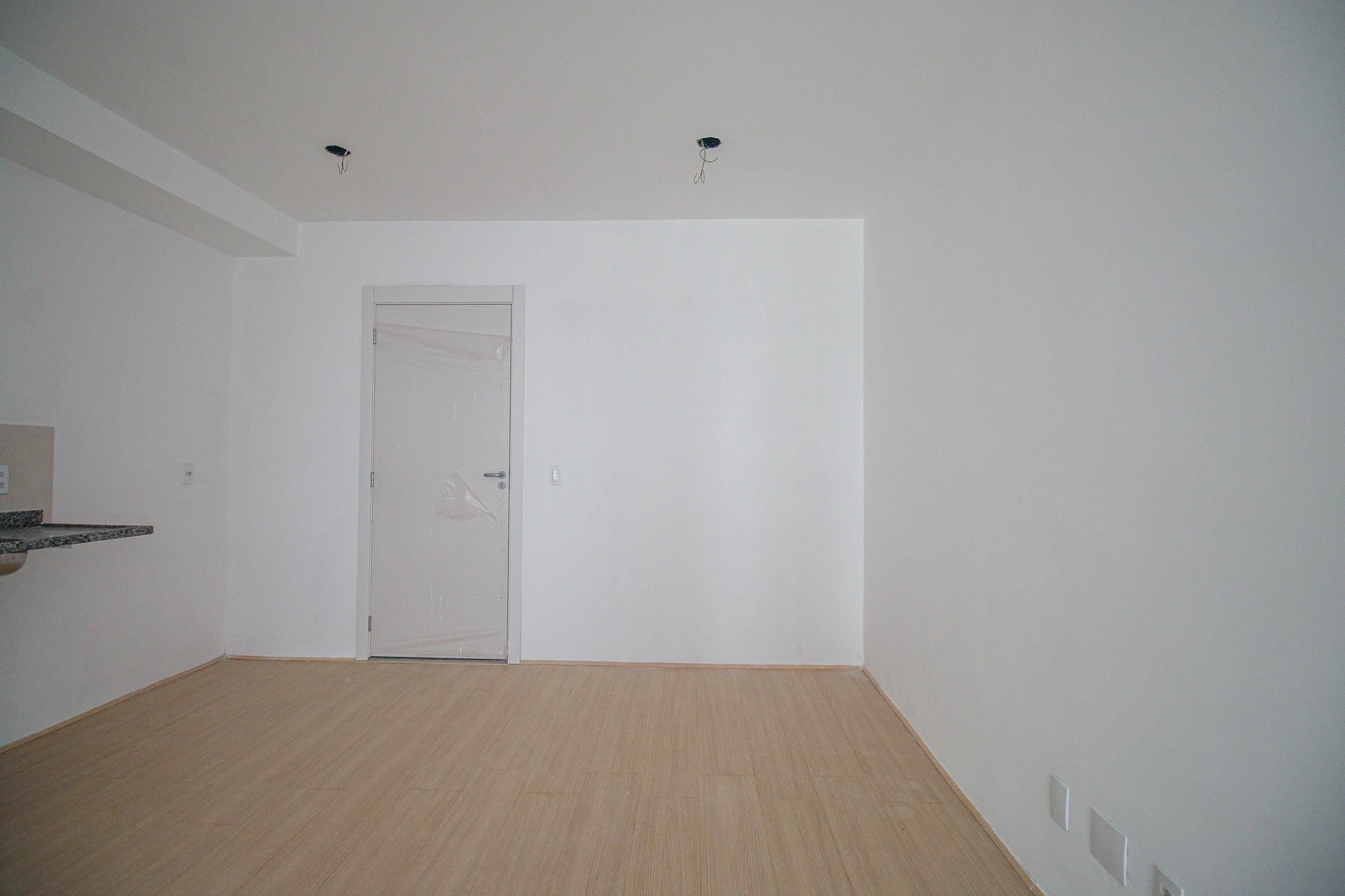 One-bedroom apartment with wood or laminate floors — photo 12