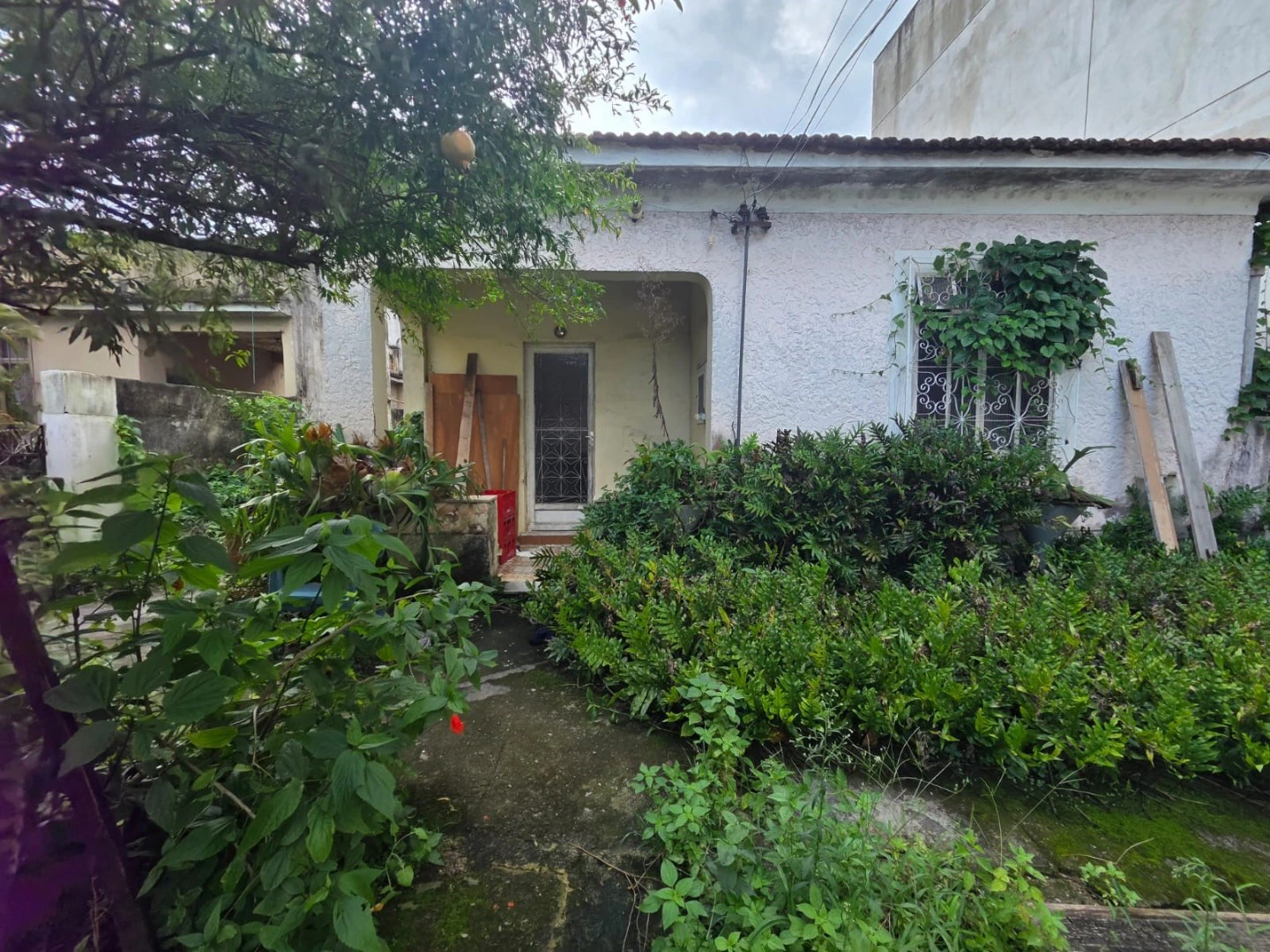 Casa com 1 quarto, 1 banheiro e jardim privativo — photo 6
