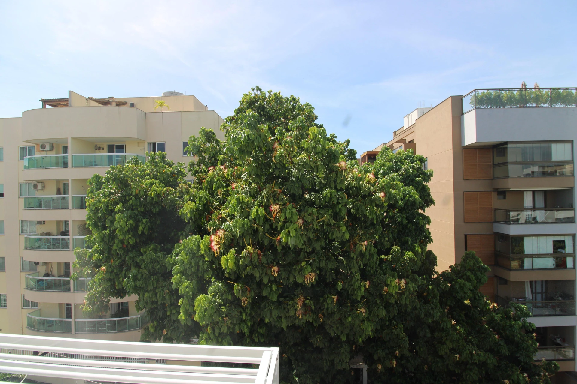 Apartamento mobiliado com 3 quartos e varanda — photo 7