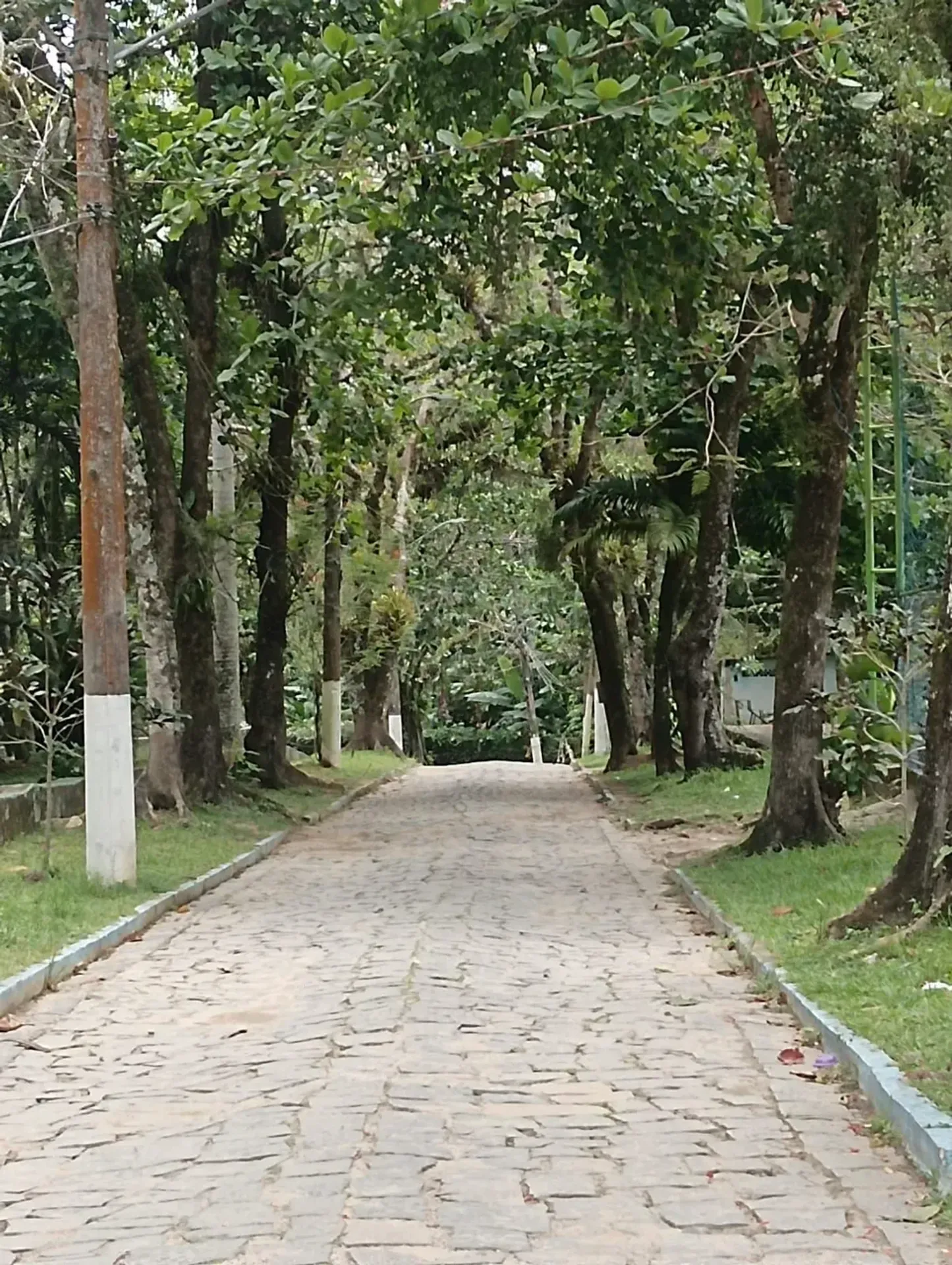 Apartamento com 1 quarto e 30 m², com 2 vagas — photo 39