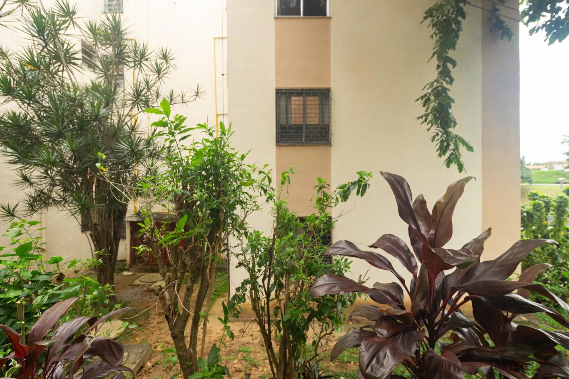 Apartamento de 3 quartos e 53 m² — photo 37