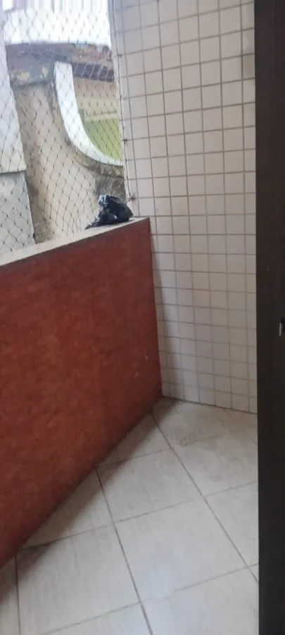 Apartamento de 4 quartos com vista para as montanhas — photo 26