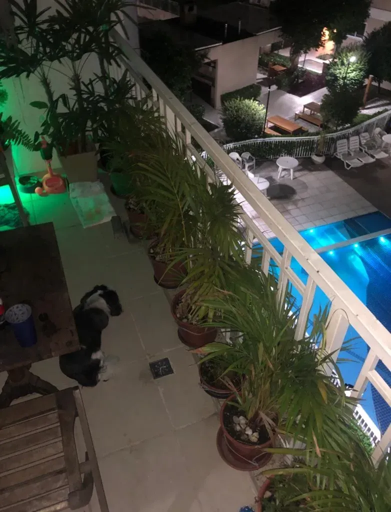 Furnished apartment, 74 m², with a glass-enclosed balcony — photo 10