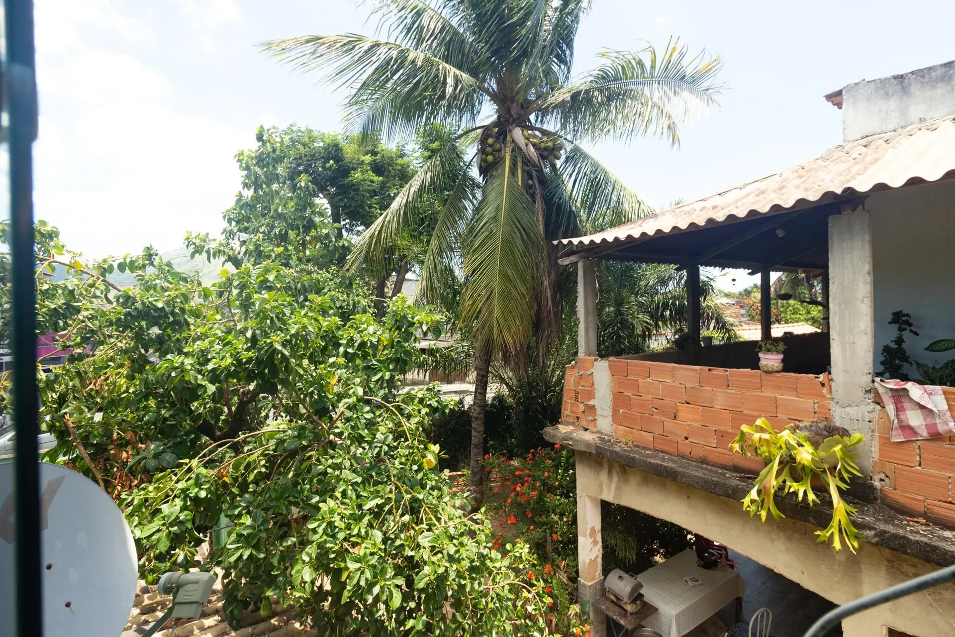 Garden in a 3-bedroom house, 111 m² — photo 53