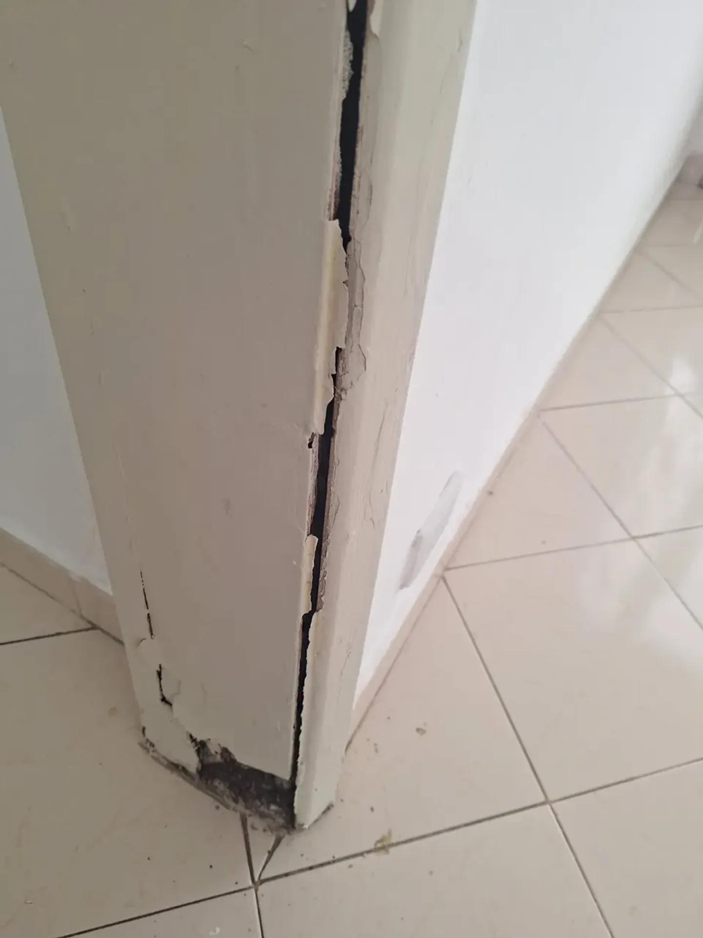 Будинок 80 м², 2 спальні, Ріо-де-Жанейро — photo 30