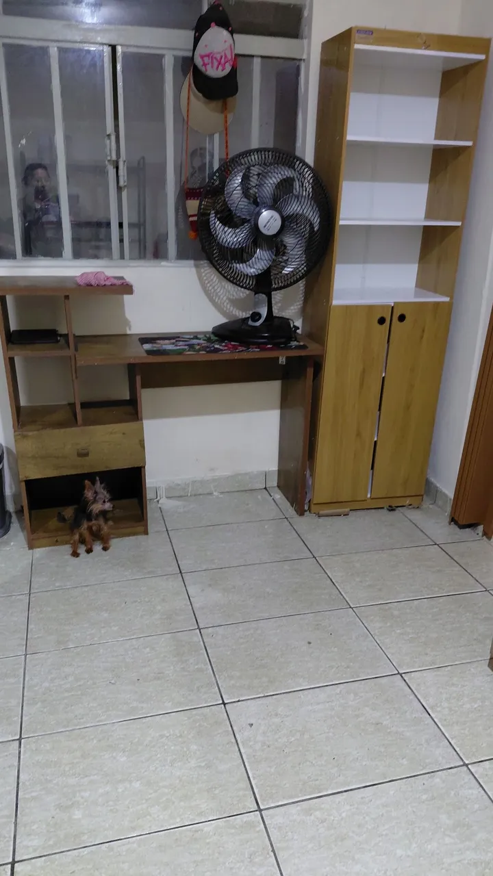 Ground-floor furnished apartment with 1 bedroom and 1 parking — photo 2