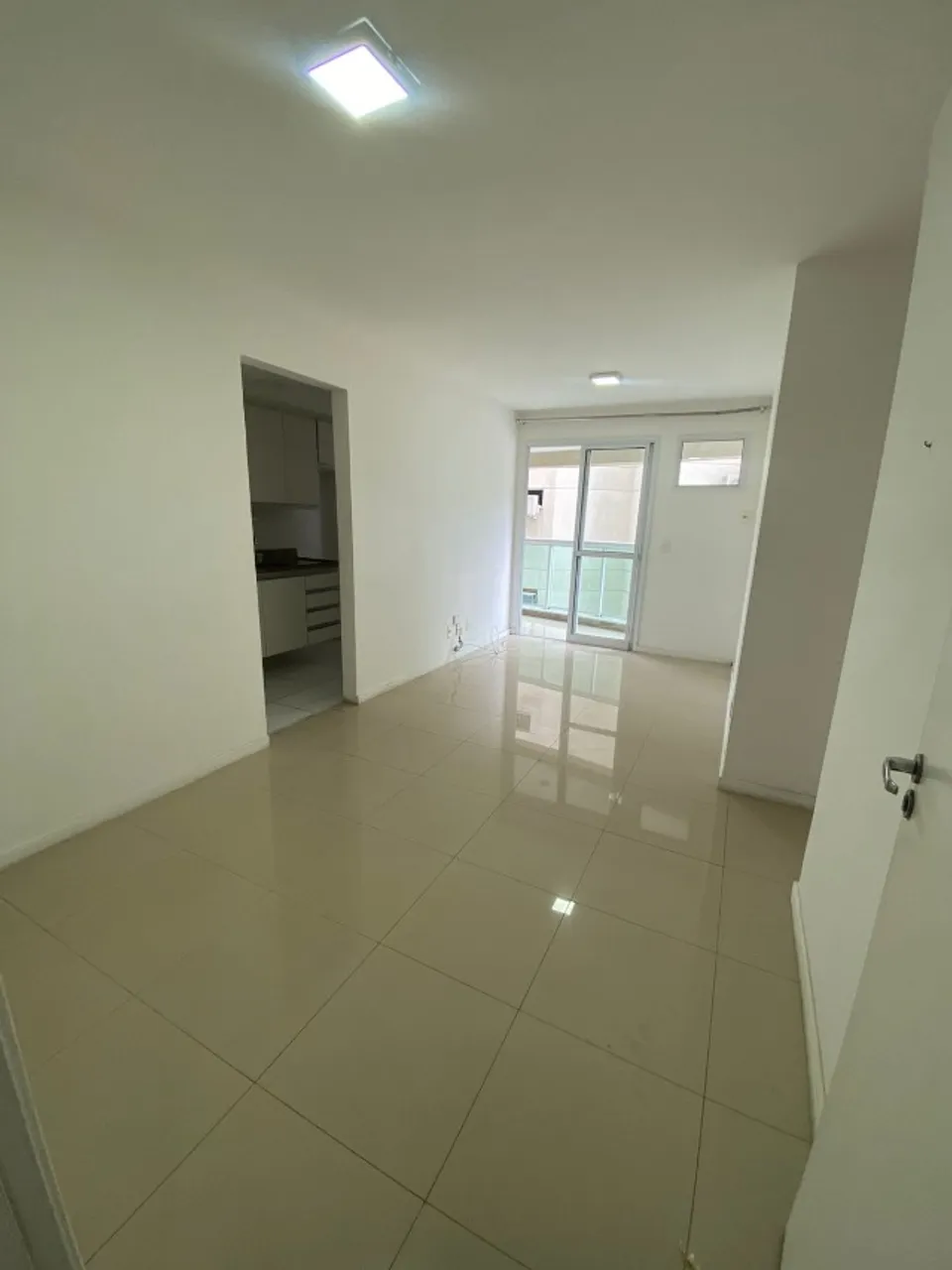 Apartment, 54 m², with a grill on the balcony — photo 3