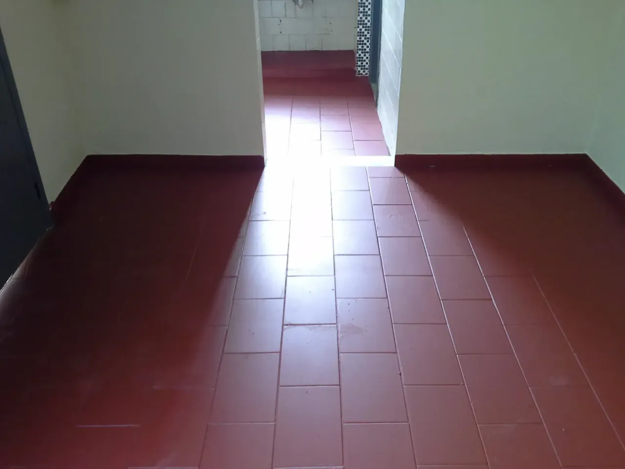 1-bedroom house with 1 bathroom and no parking spot — photo 5