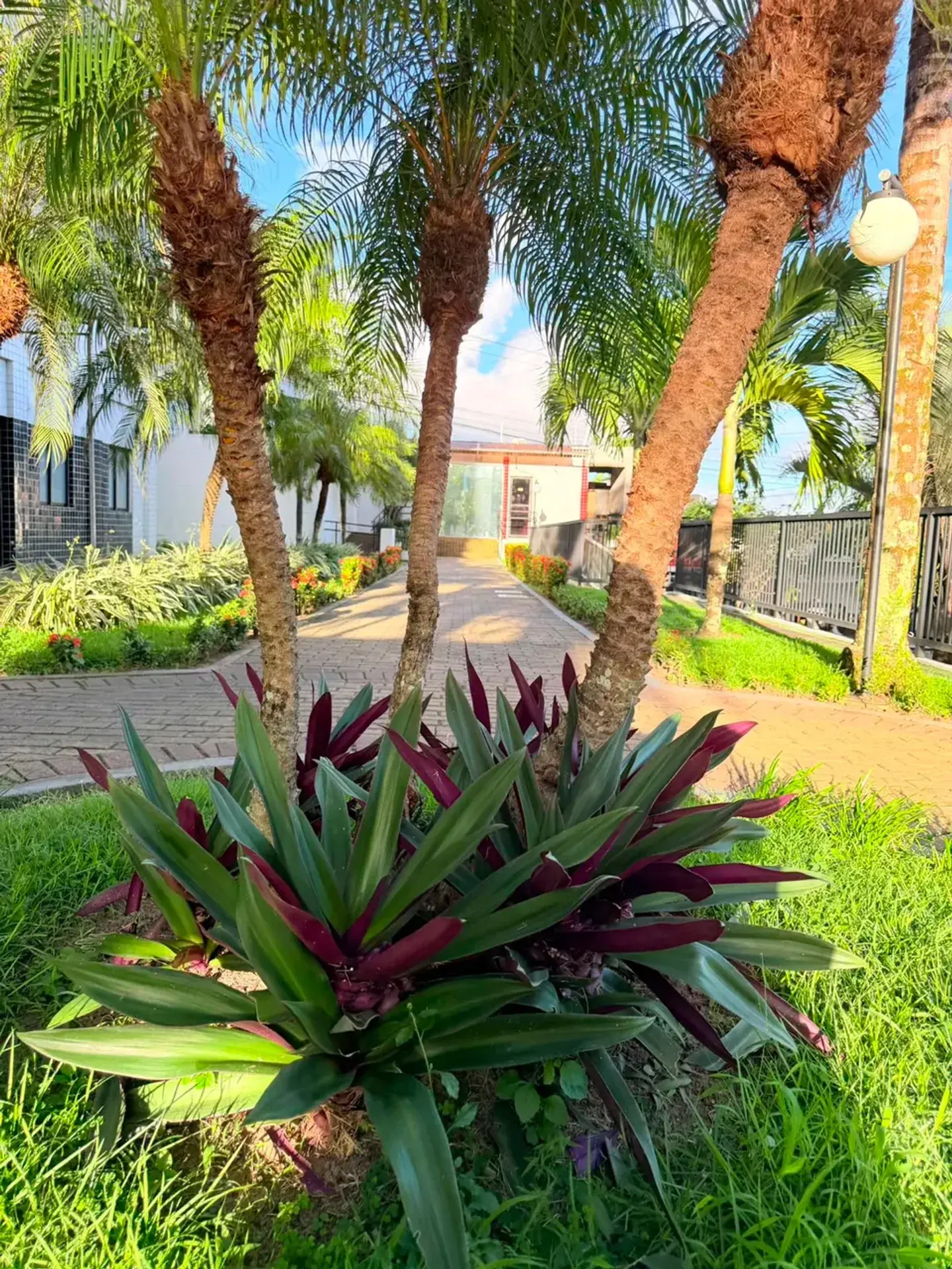 3-bedroom apartment with balcony and private garden — photo 7