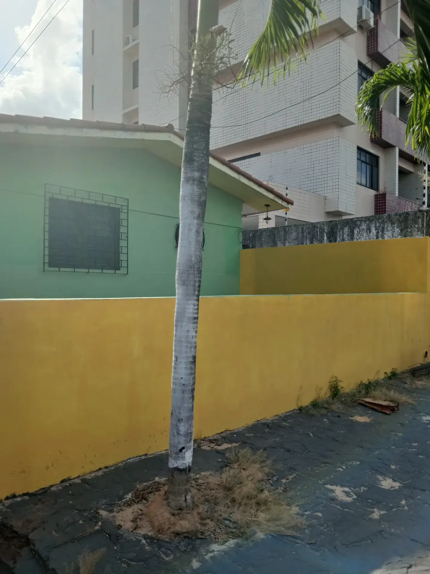 Casa de 3 dormitorios, 1 con baño propio, 200 m² — photo 5