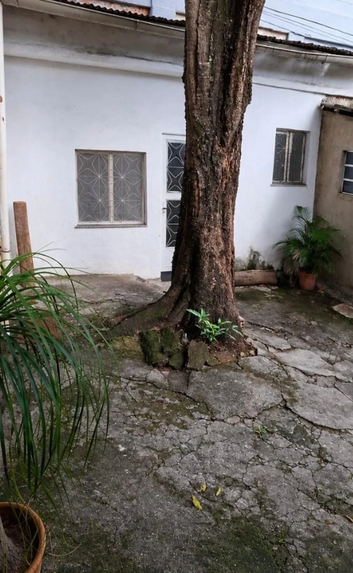 Washing machine in a one-bedroom house, 50 m² — photo 15