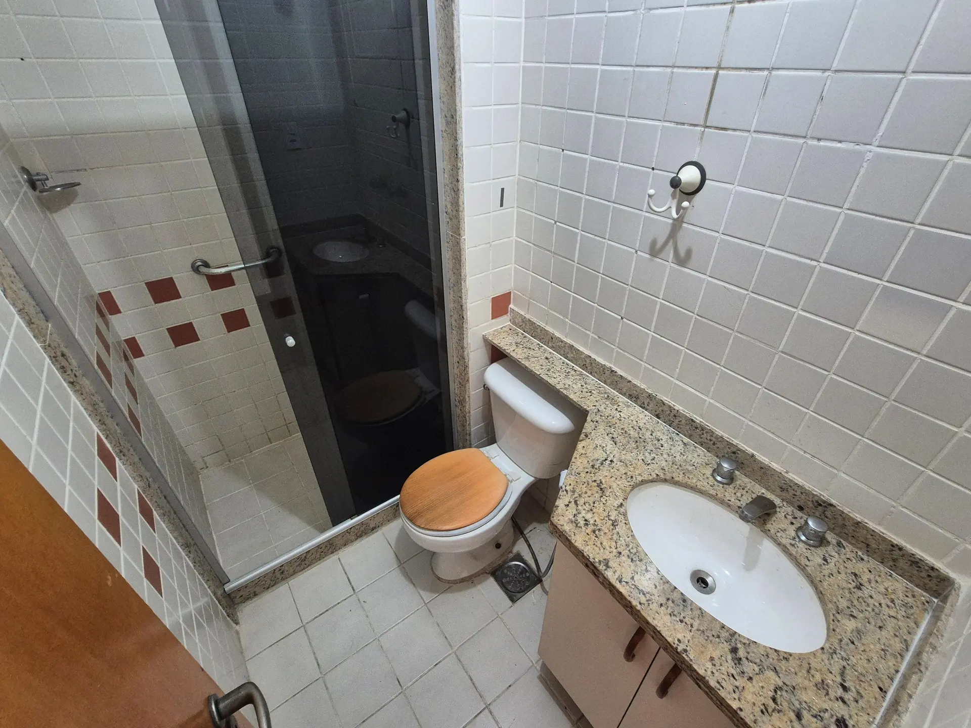 Apartamento com 2 quartos, suíte e varanda com animais — photo 34