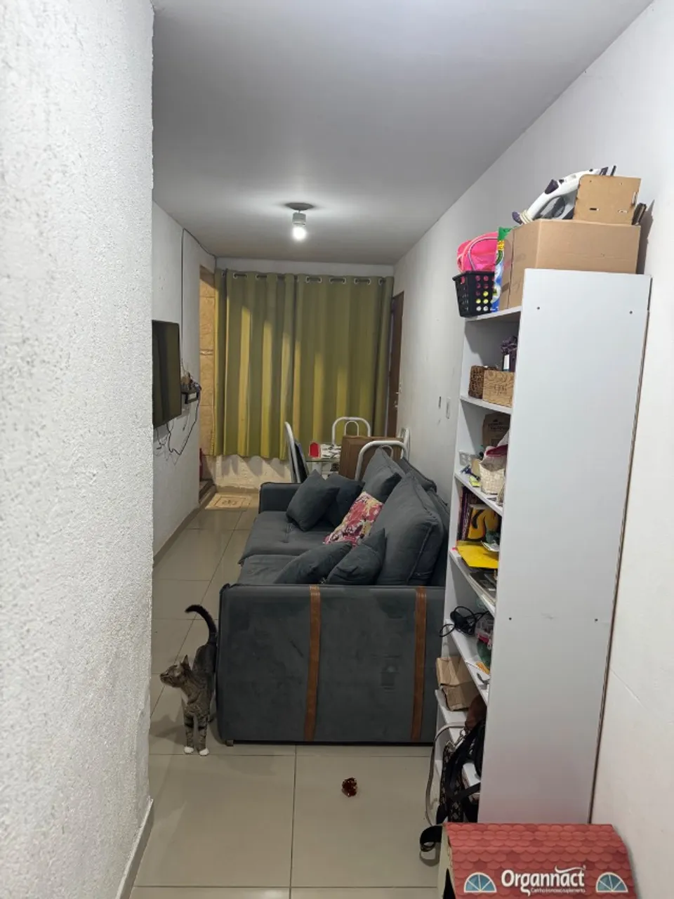 Apartamento mobiliado de 1 quarto com banho em box de vidro — photo 13