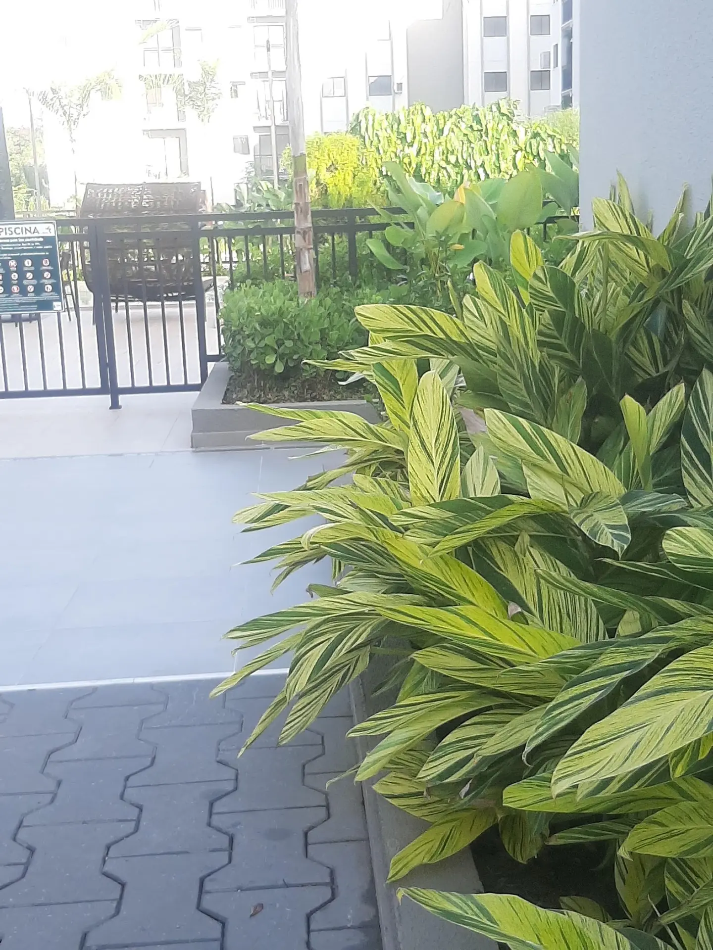 Apartamento mobiliado com 2 quartos e box de vidro — photo 27