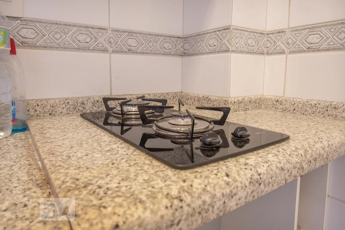 1-bedroom suite apartment with a gas stove kitchen — photo 24
