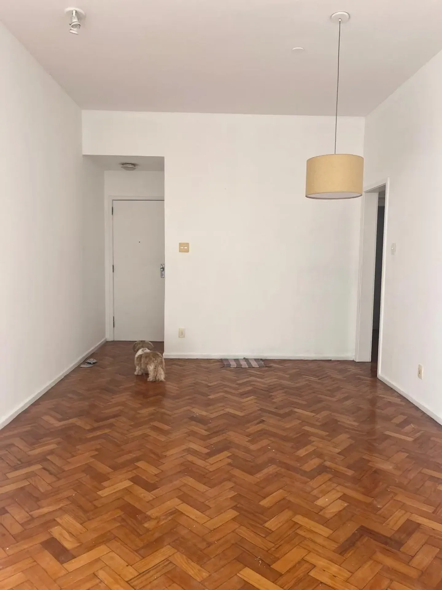 Apartment with 3 bedrooms and 2 bathrooms — photo 46