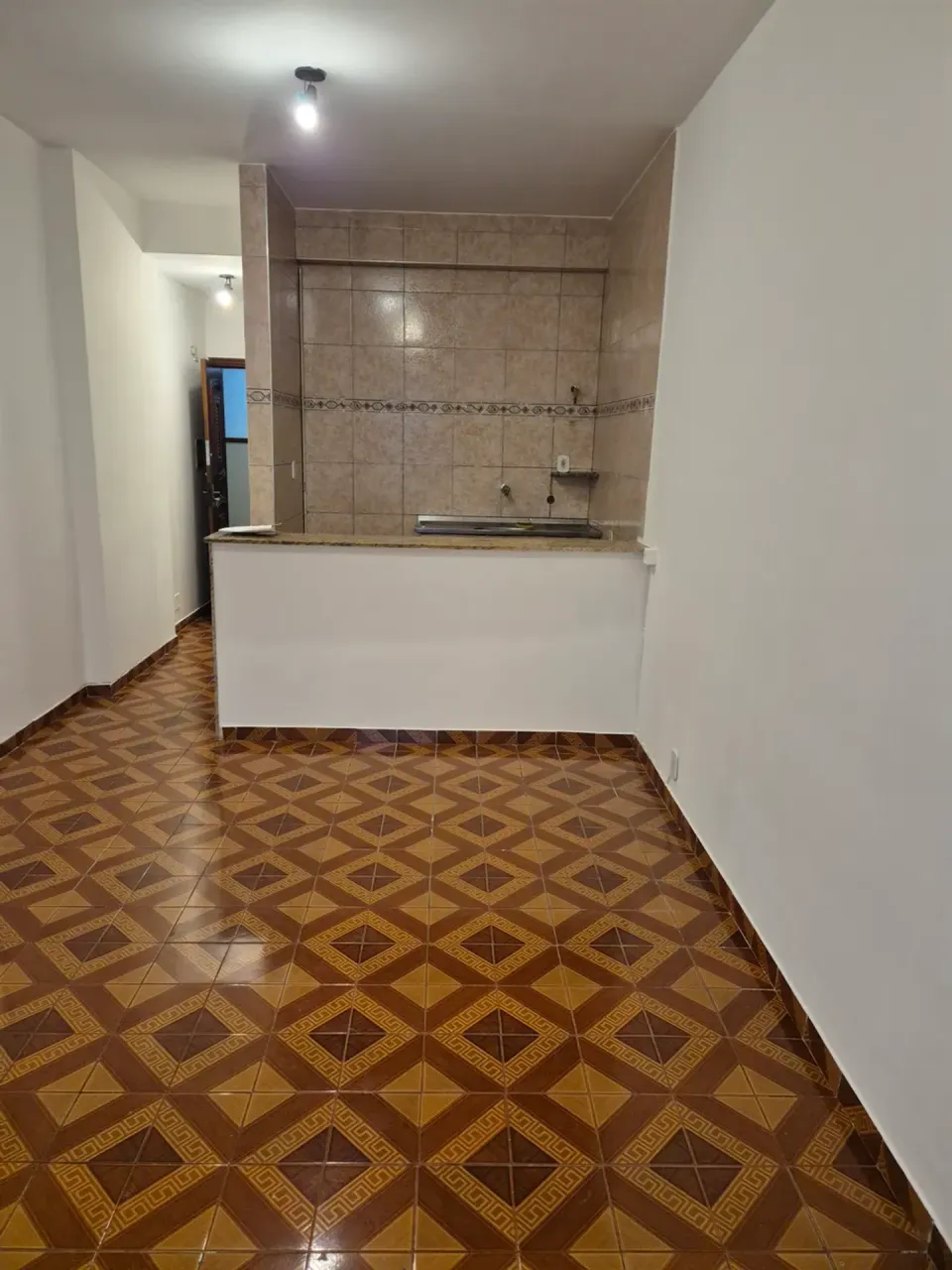 1-bedroom apartment with separate enclosed kitchen — photo 4