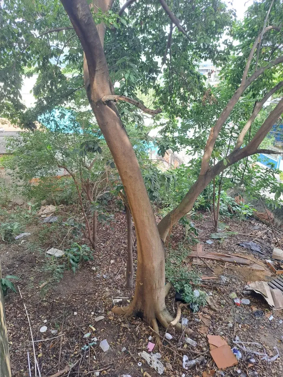 Apartamento sem vaga, 2 quartos e 2 banheiros bem cuidados — photo 20
