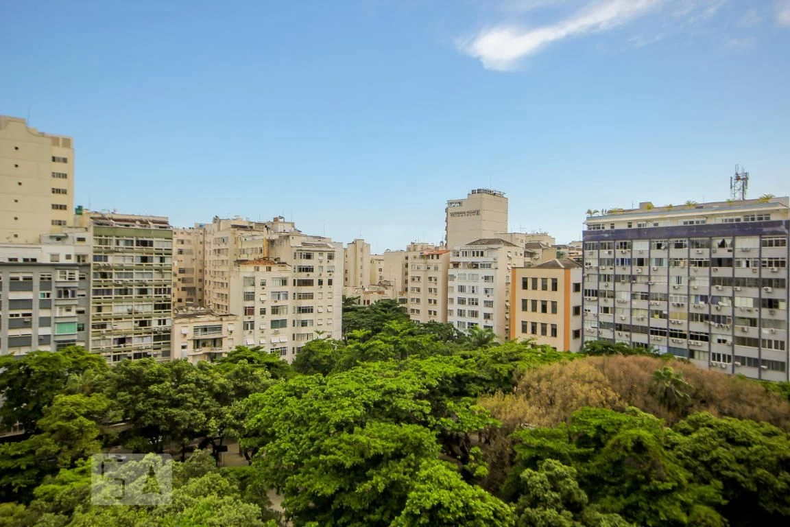 Apartamento de 1 quarto com vista para o parque — photo 6