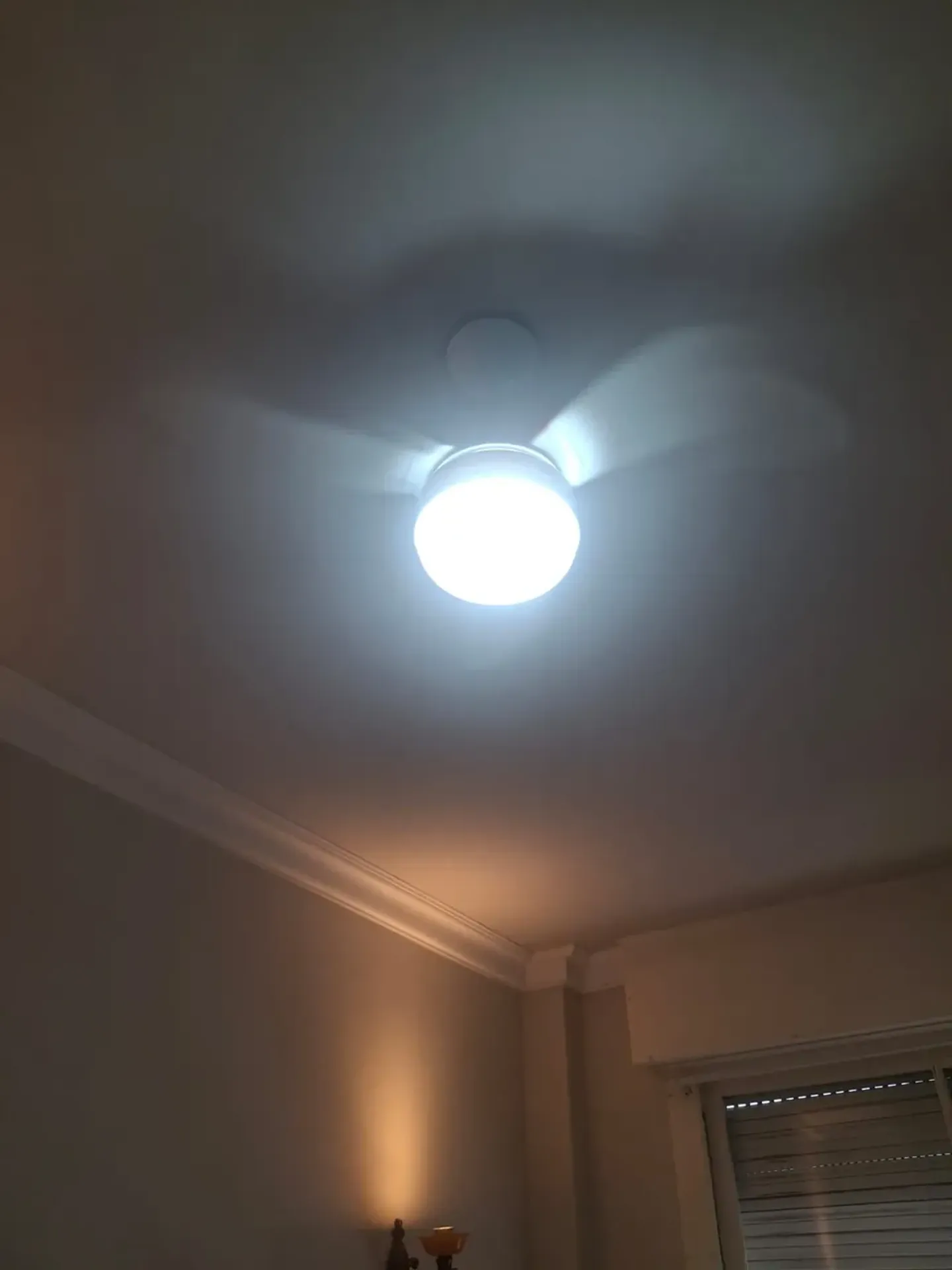 One-bedroom, 39 m² apartment in Rio de Janeiro — photo 17
