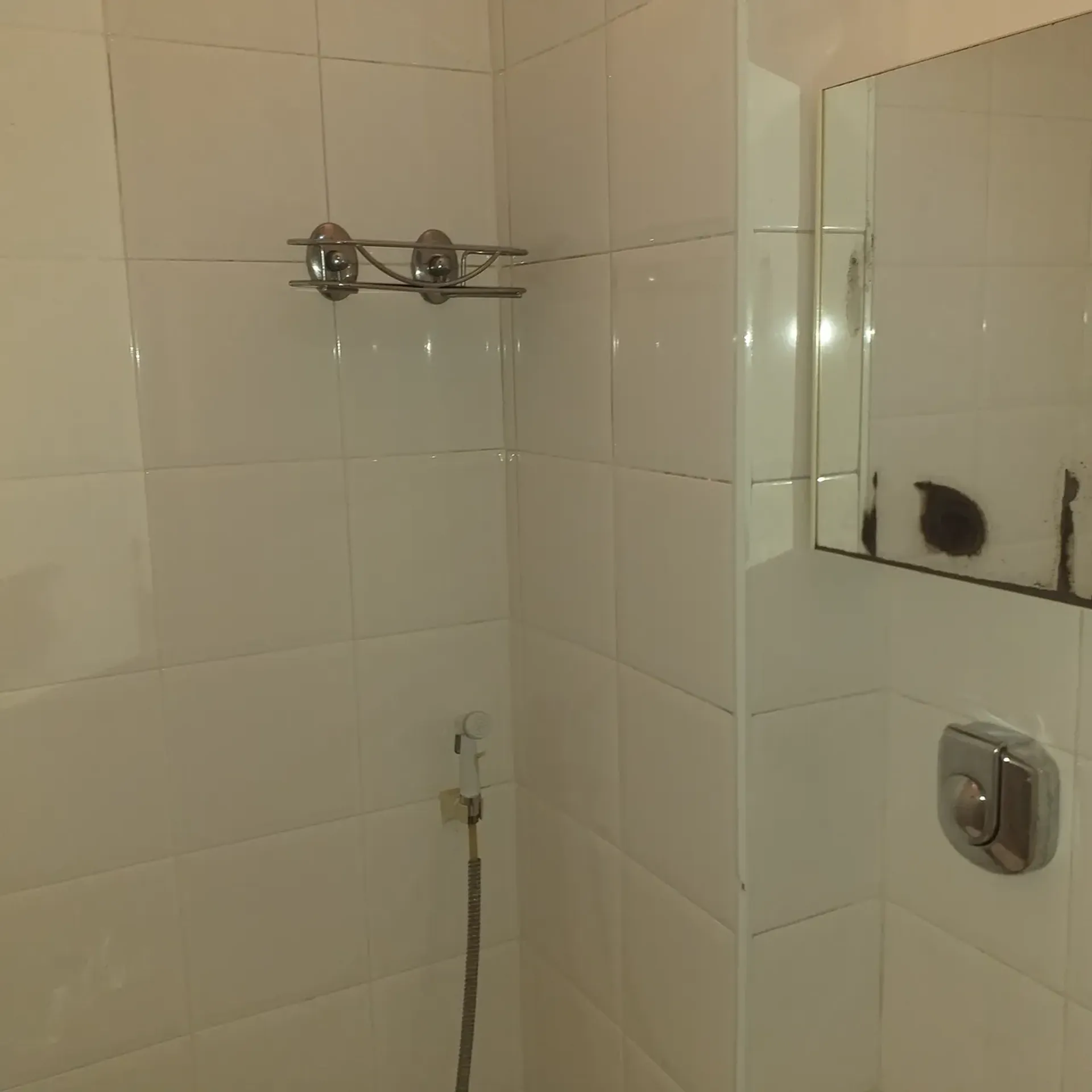 2-bedroom apartment with 3 bathrooms and glass shower — photo 42