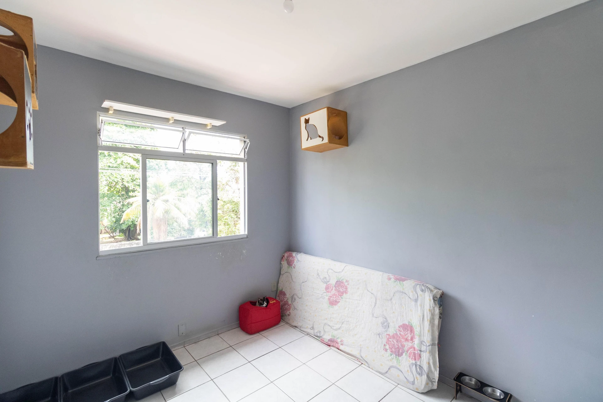 2-bedroom apartment in a building with a gym — photo 23