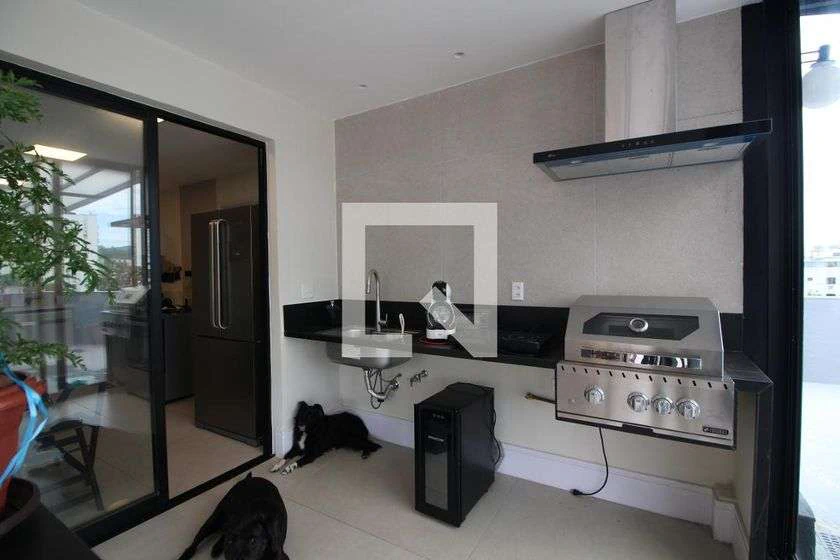 Rental penthouse with 4 bedrooms and terrace — photo 3