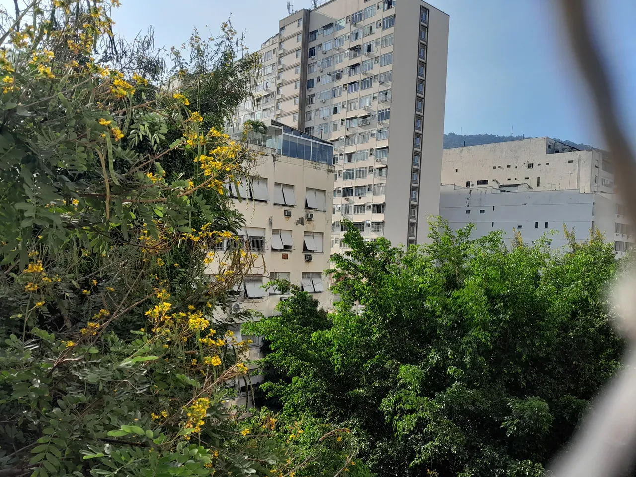 2-bedroom apartment with a park view — photo 34