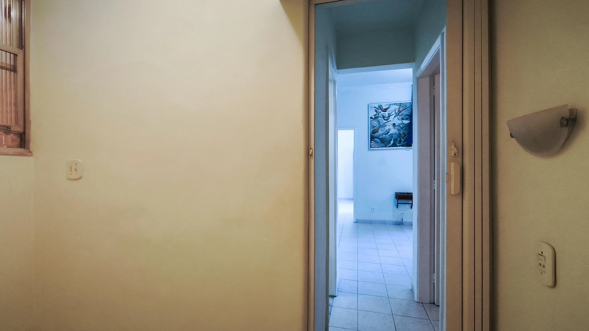 Apartamento de 3 quartos com cozinha separada e 2 banheiros — photo 44