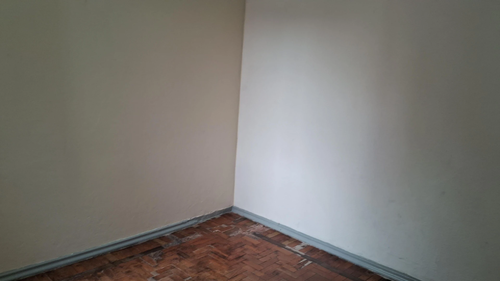 2-bedroom apartment with wood or laminate floors — photo 14