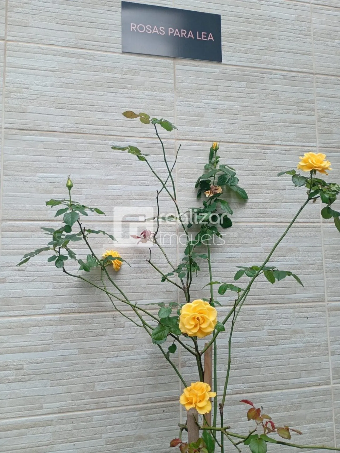 Apartamento de 2 dormitorios con balcón y 1 plaza — photo 39