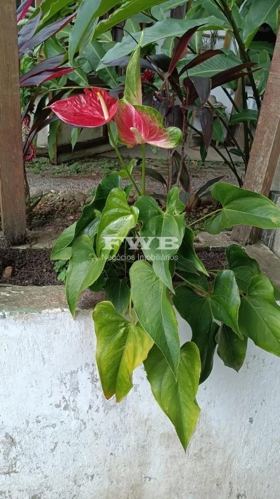 Casa de 5 quartos com banheira, Barra da Tijuca — photo 21