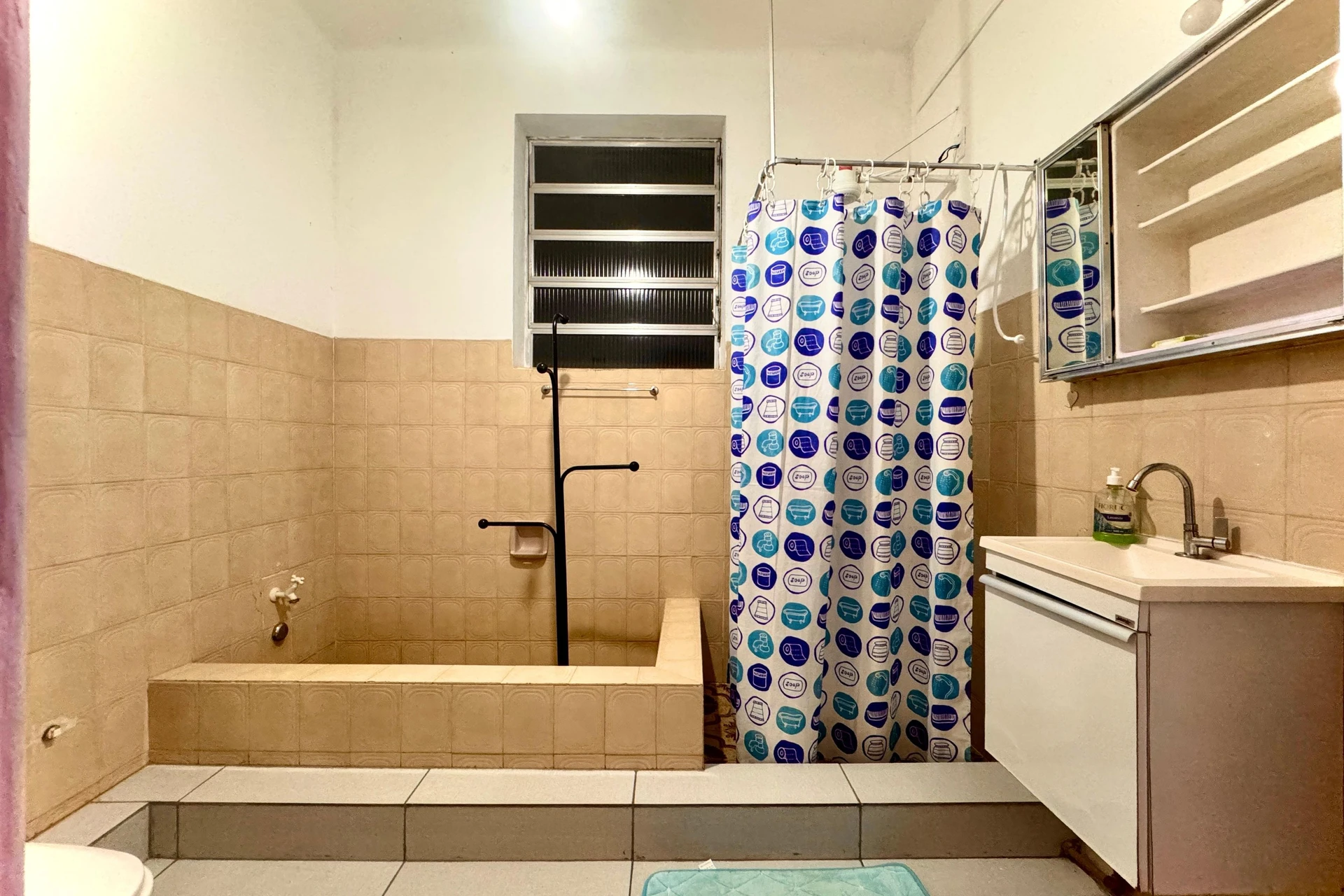 Furnished 1-bedroom apartment with pets allowed — photo 8