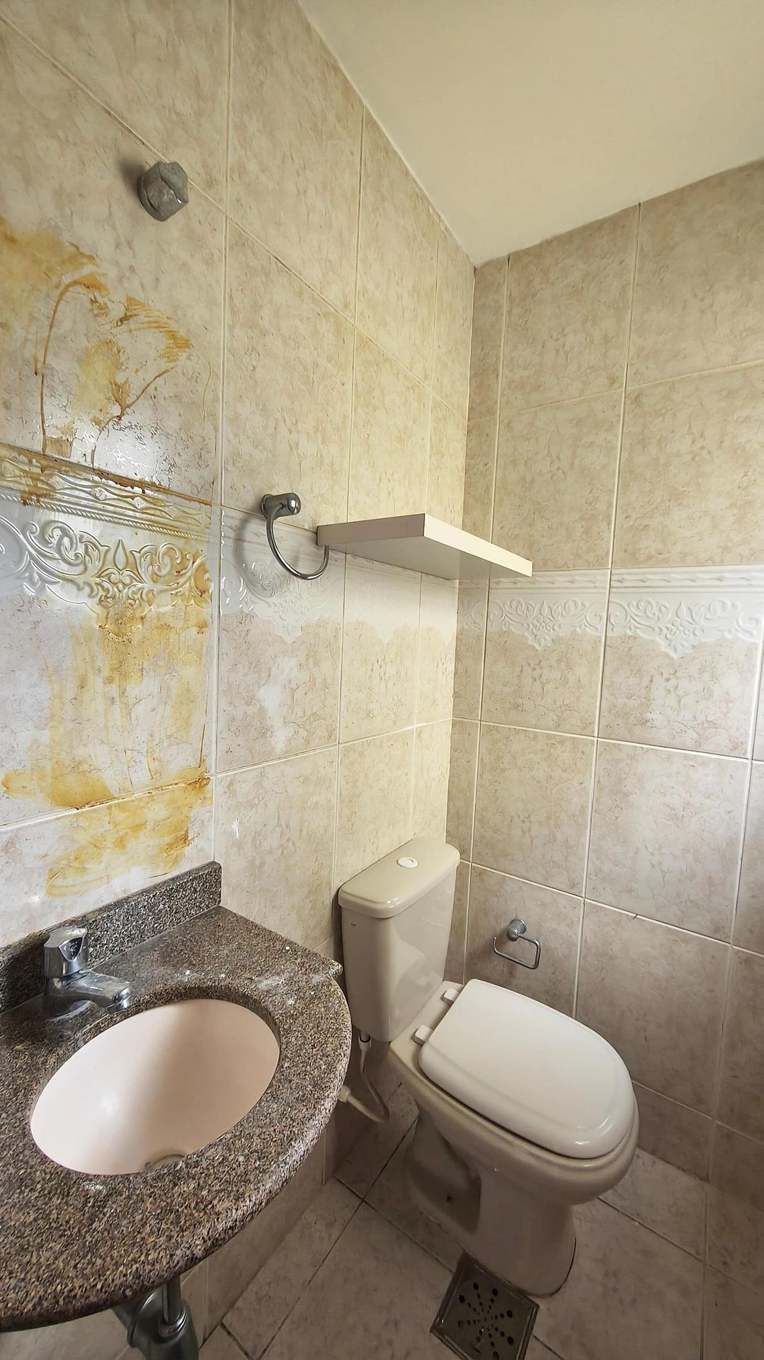 3-bedroom house with a walk-in closet in Rio de Janeiro — photo 31