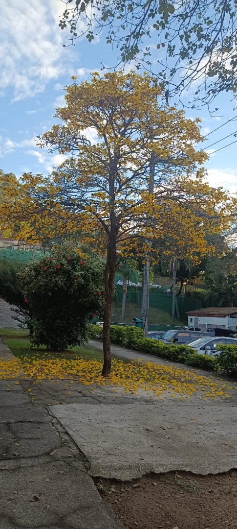 2 quartos e vista para as montanhas: casa de 76 m² — photo 10