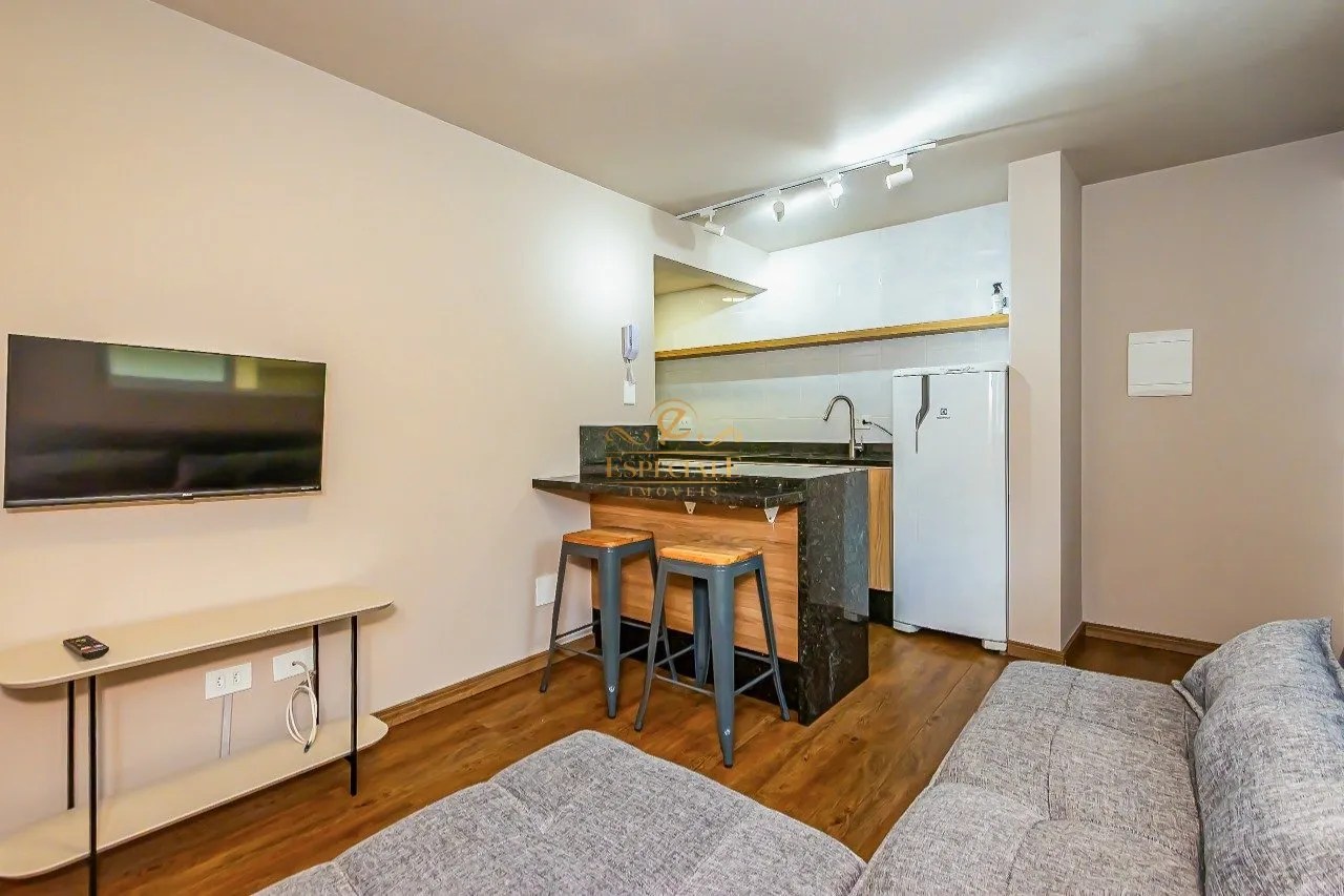 Furnished 1-bedroom apartment with open-plan kitchen — photo 3