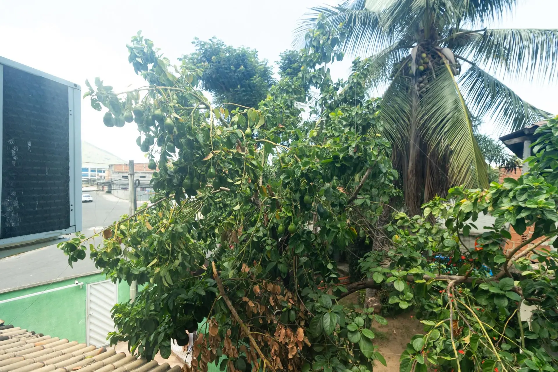 Garden in a 3-bedroom house, 111 m² — photo 42
