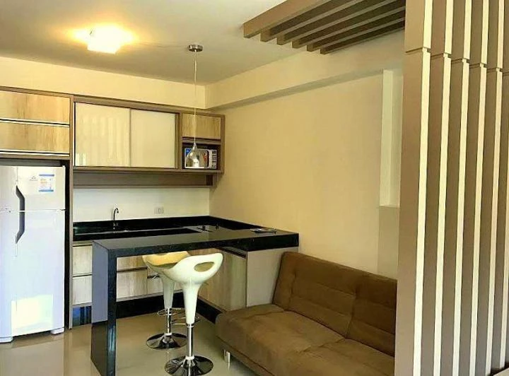Furnished 1-bedroom apartment with an open-plan kitchen — photo 2